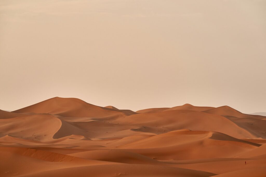 UAE Family Holiday