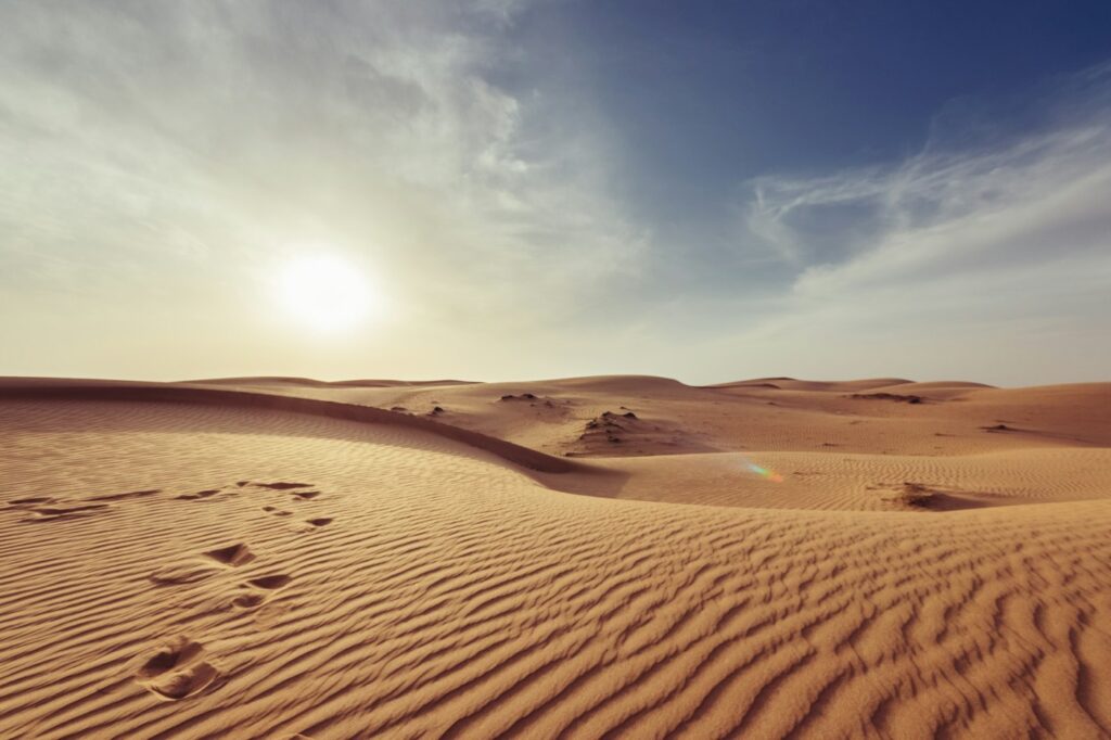 Dubai Desert Safari